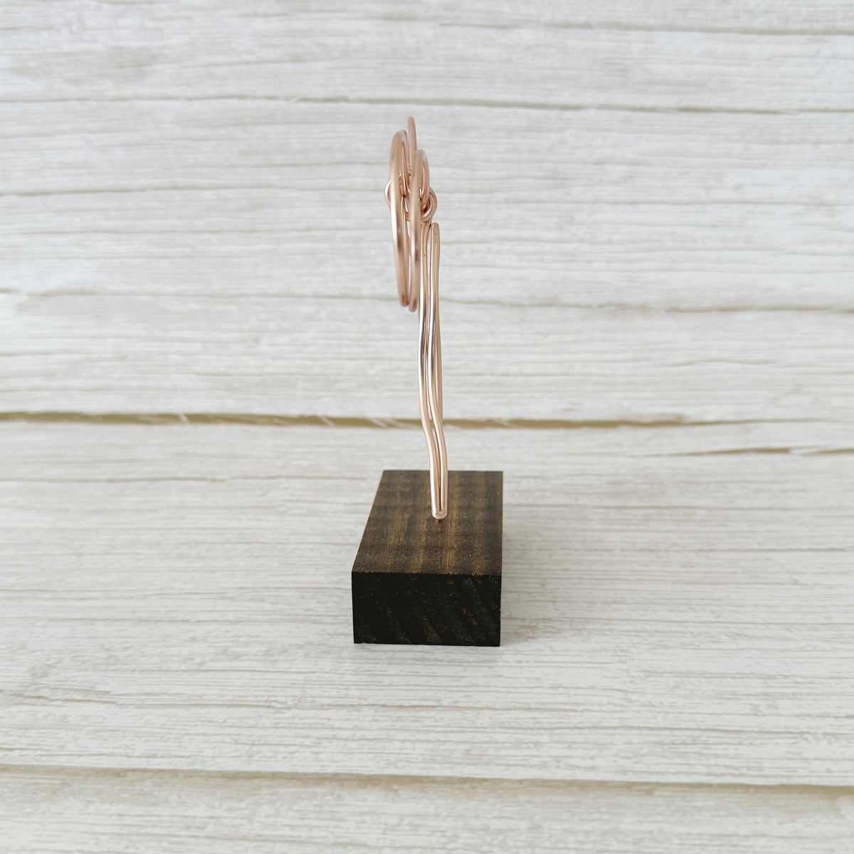 Bow Picture Holder