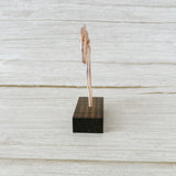 Bow Picture Holder