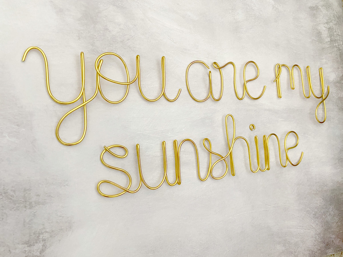 A wire wall decor that spells out 'you are my sunshine' in cursive and print lettering, displayed against a concrete background.