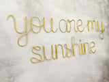 A wire wall decor that spells out 'you are my sunshine' in cursive and print lettering, displayed against a concrete background.