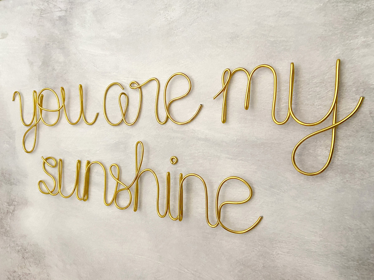 A wire wall decor that spells out 'you are my sunshine' in cursive and print lettering, displayed against a concrete background. 