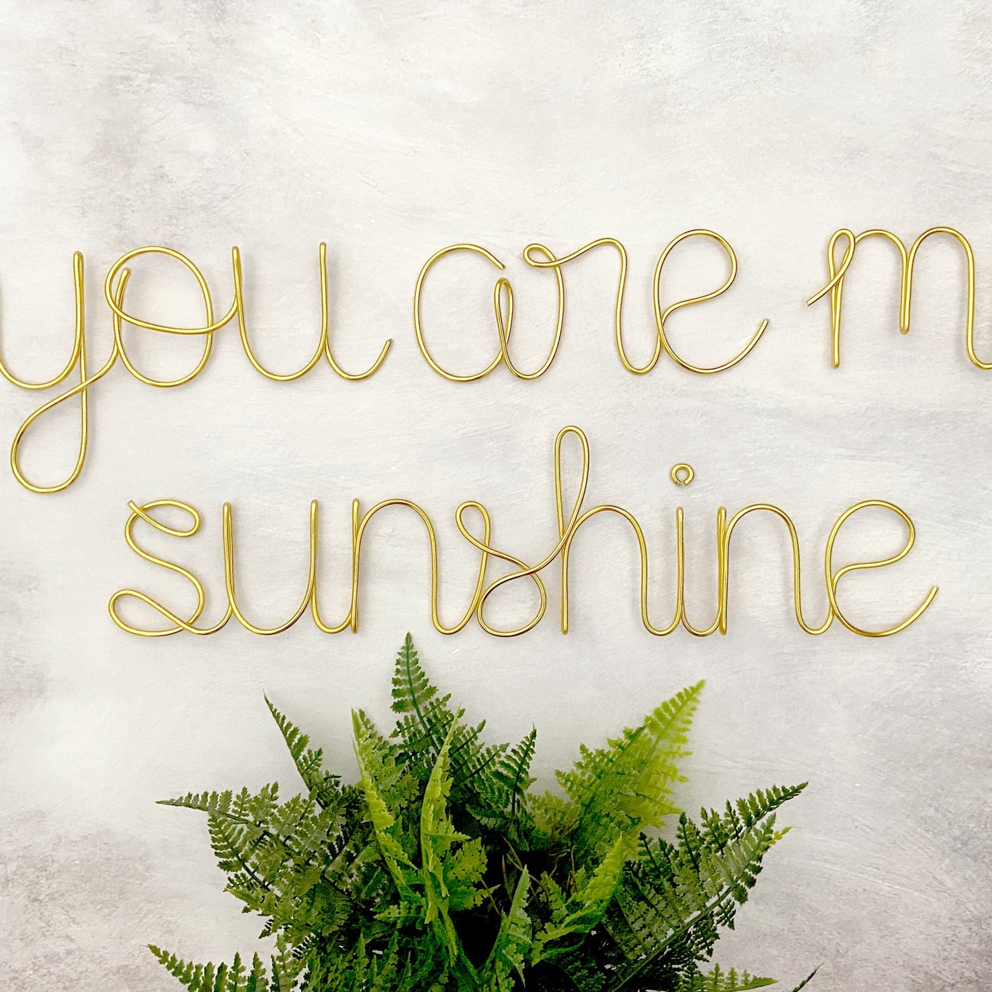 A wire wall decor that spells out 'you are my sunshine' in cursive and print lettering, displayed against a concrete background with a potted fern below it.