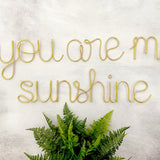 A wire wall decor that spells out 'you are my sunshine' in cursive and print lettering, displayed against a concrete background with a potted fern below it.