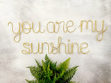 A wire wall decor that spells out 'you are my sunshine' in cursive and print lettering, displayed against a concrete background with a potted fern below it.