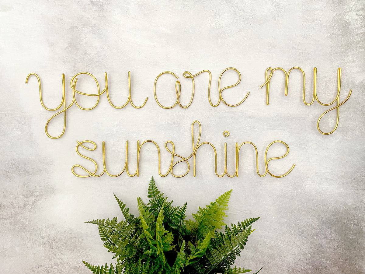 A wire wall decor that spells out 'you are my sunshine' in cursive and print lettering, displayed against a concrete background with a potted fern below it.