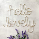 Hello Lovely Wire Art